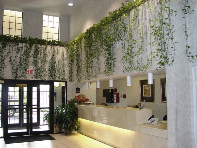 Quality Inn & Suites Airport Остин Экстерьер фото
